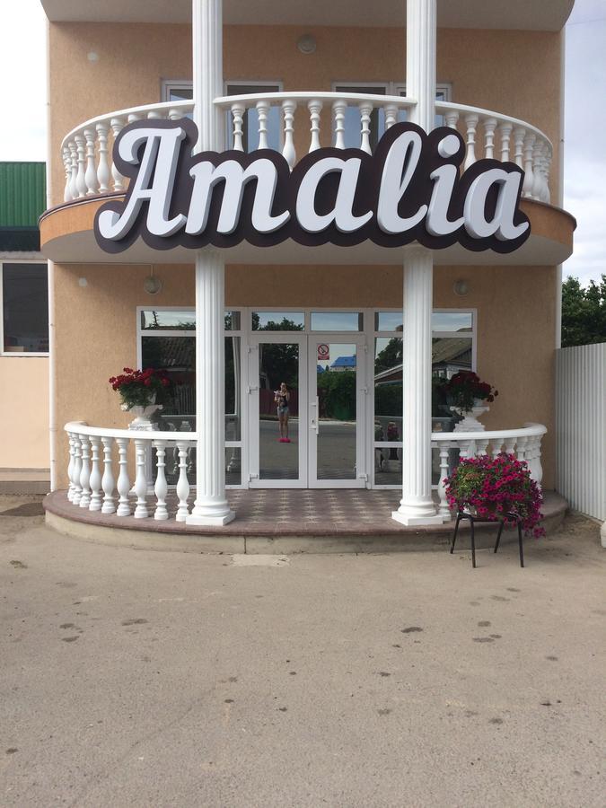 Amalia Hotel Zaliznyy Port Exterior foto