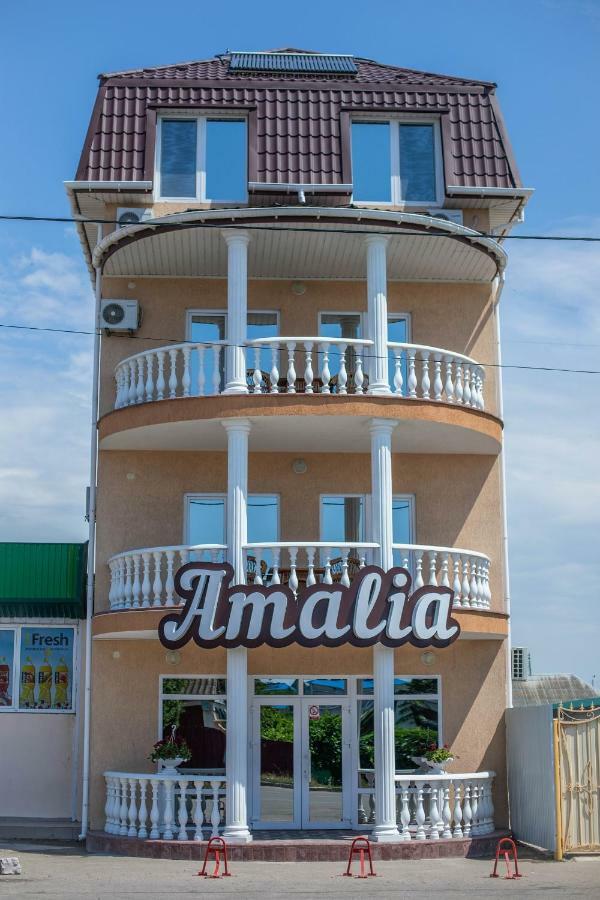 Amalia Hotel Zaliznyy Port Exterior foto